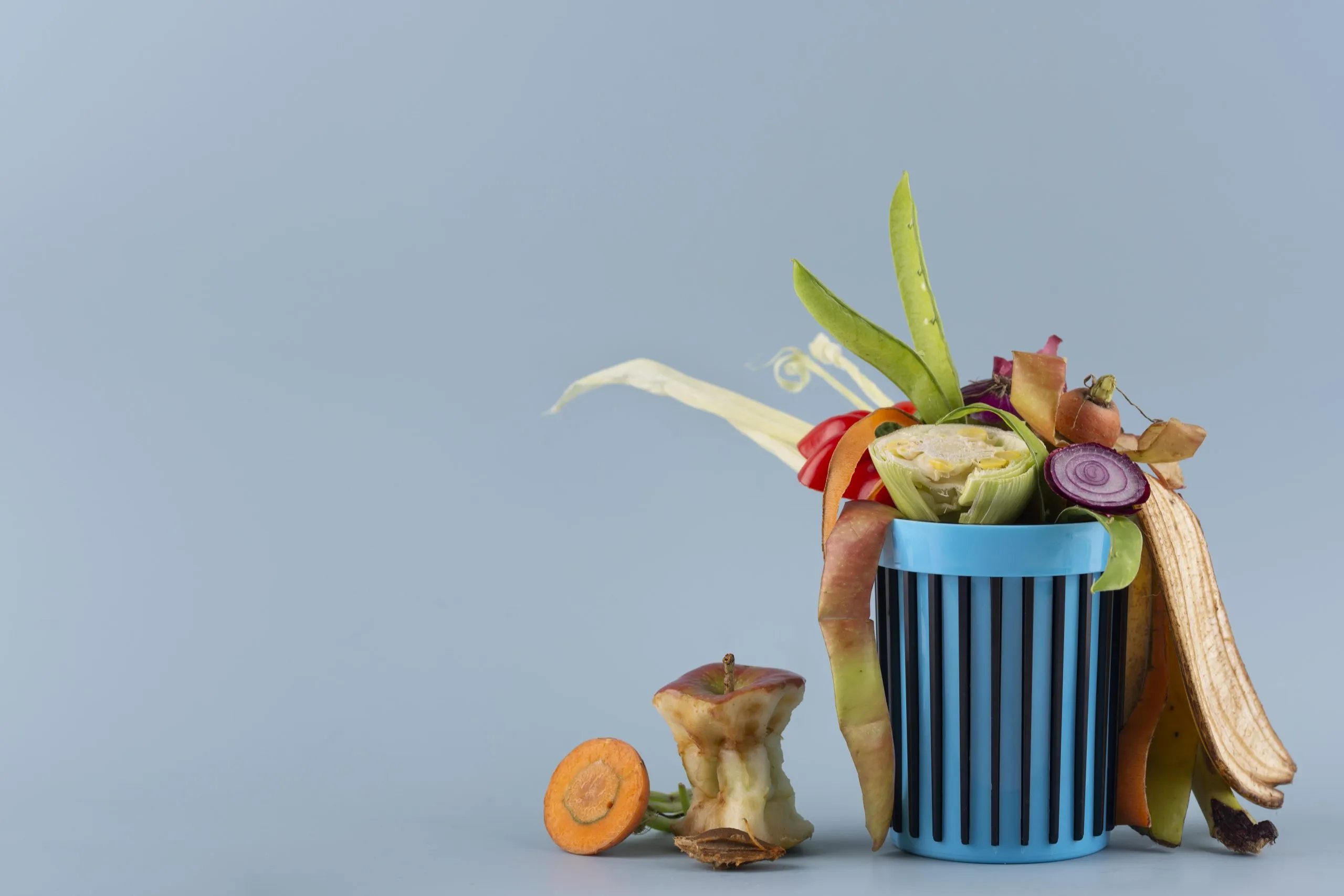 Impact of Food Waste on the Environment